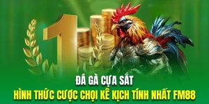 đá gà cựa sắt